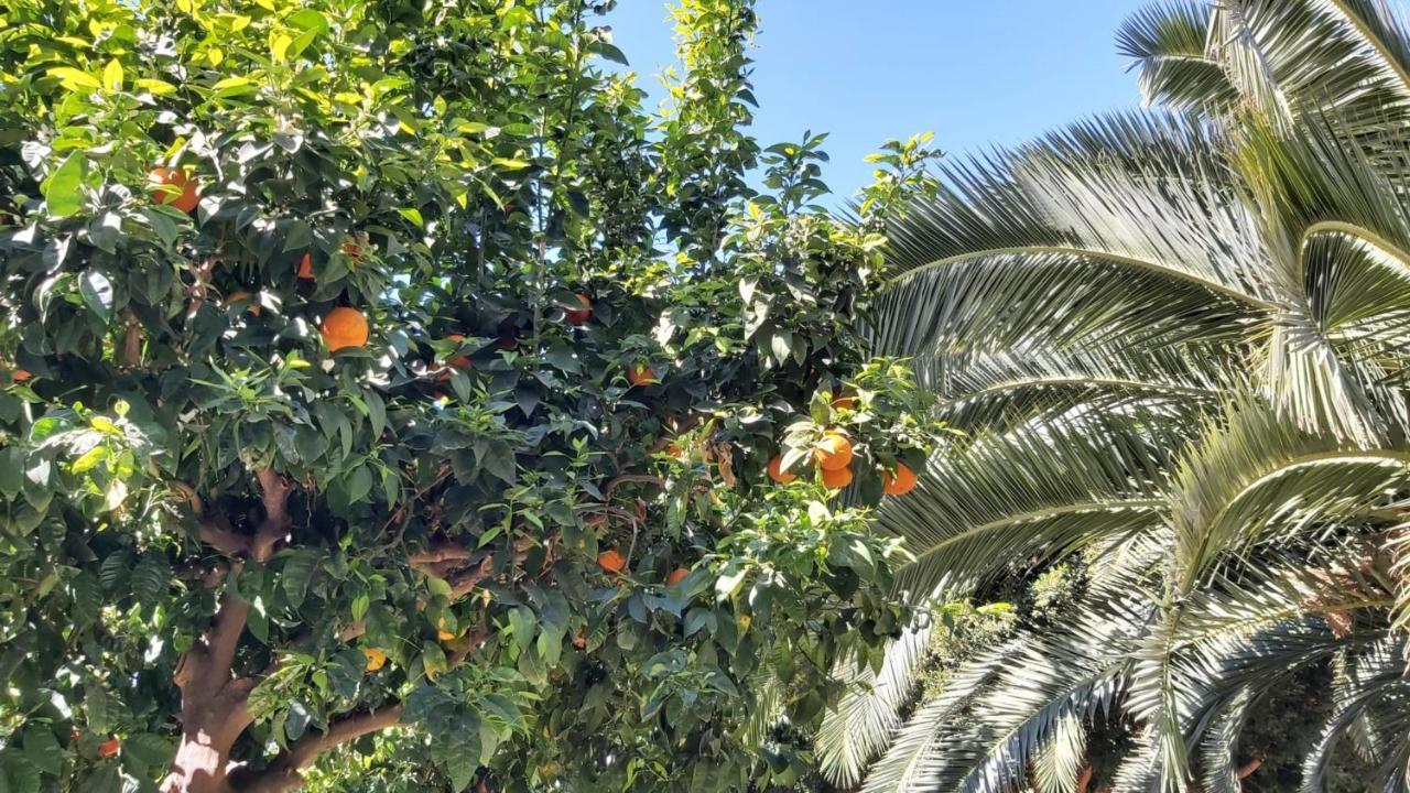 Del Parque Flats Urban Daire Málaga Dış mekan fotoğraf
